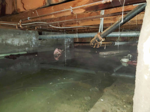 Best Ceiling water damage repair  in Boiling Springs, NC