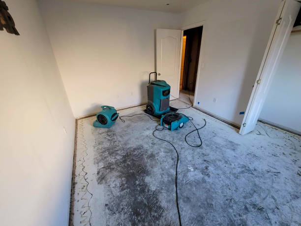 Best Water damage restoration process  in Boiling Springs, NC