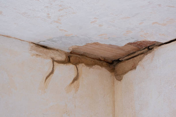Best Flood restoration services  in Boiling Springs, NC