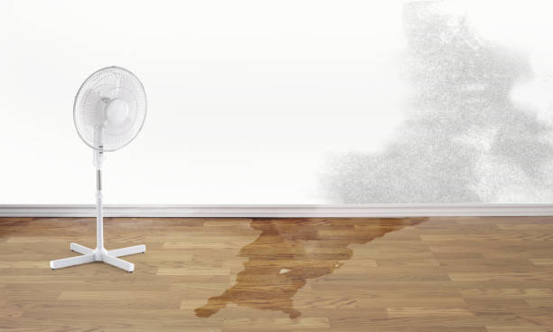 Best Fire Damage Restoration  in Boiling Springs, NC