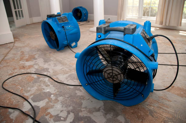 Best Carpet water damage restoration  in Boiling Springs, NC