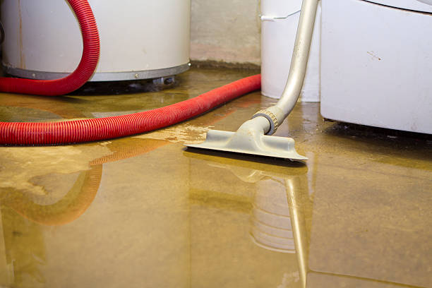 Best Mold removal after water damage  in Boiling Springs, NC